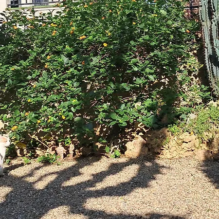 Σπίτι διακοπών Cal Fardassa Gélida
